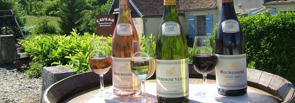 5-Wein-Verkostung - Terroirs de Vézelay-photo