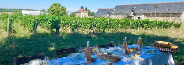 Pique-nique dans les vignes-photo