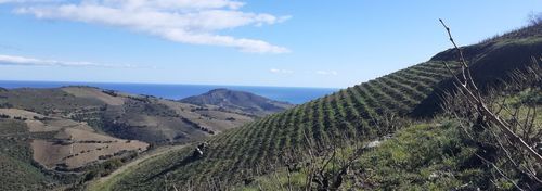Domaine de la Casa Blanca photo