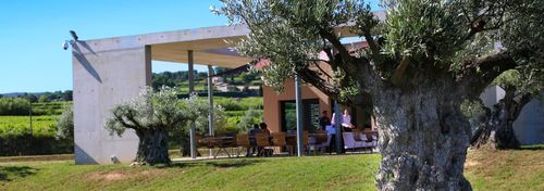 Domaine les Amoureuses photo