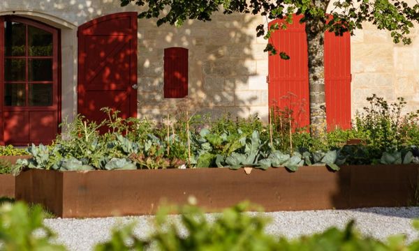 El experimento de la agroecología-photo