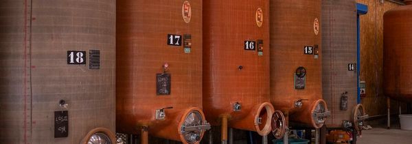 Cellar tour and tasting - group-photo