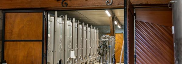 Visite & Dégustation : A la découverte du domaine-photo