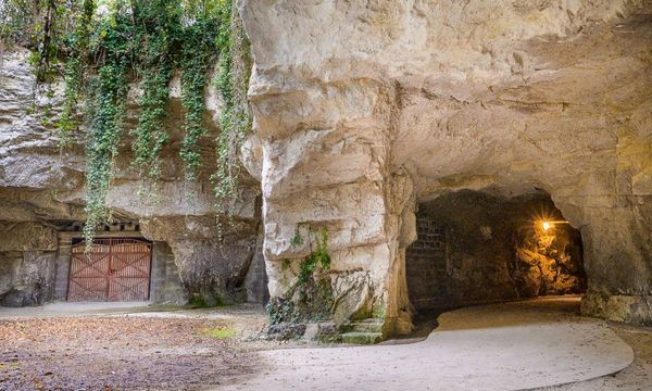 Journey to the centre of the cellar-photo