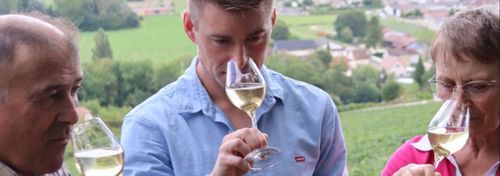 Champagne Daniel Pétré & fils photo