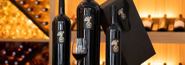 Visita alla cantina e degustazione premium-photo