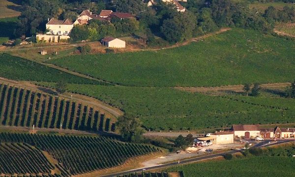 Visite des vignes et dégustation commentée-photo