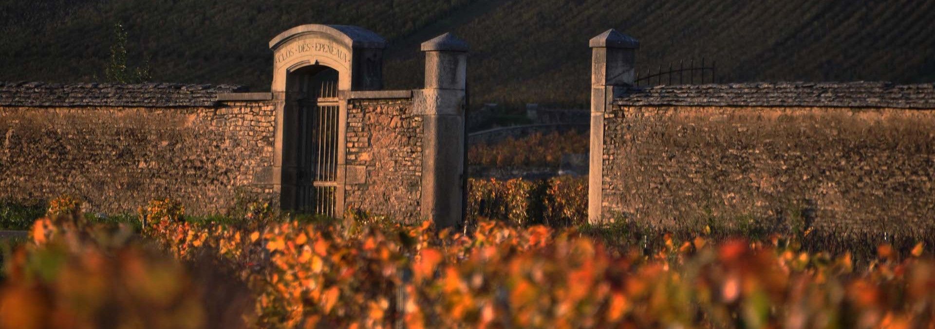 Authentica Tours - Rue des Vignerons