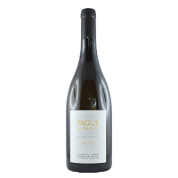 Domaine de Vodanis PAGUS VAUDANUM DEMI SEC 2007 2007 Blanc