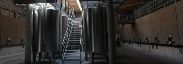 Discovery of the winery-photo