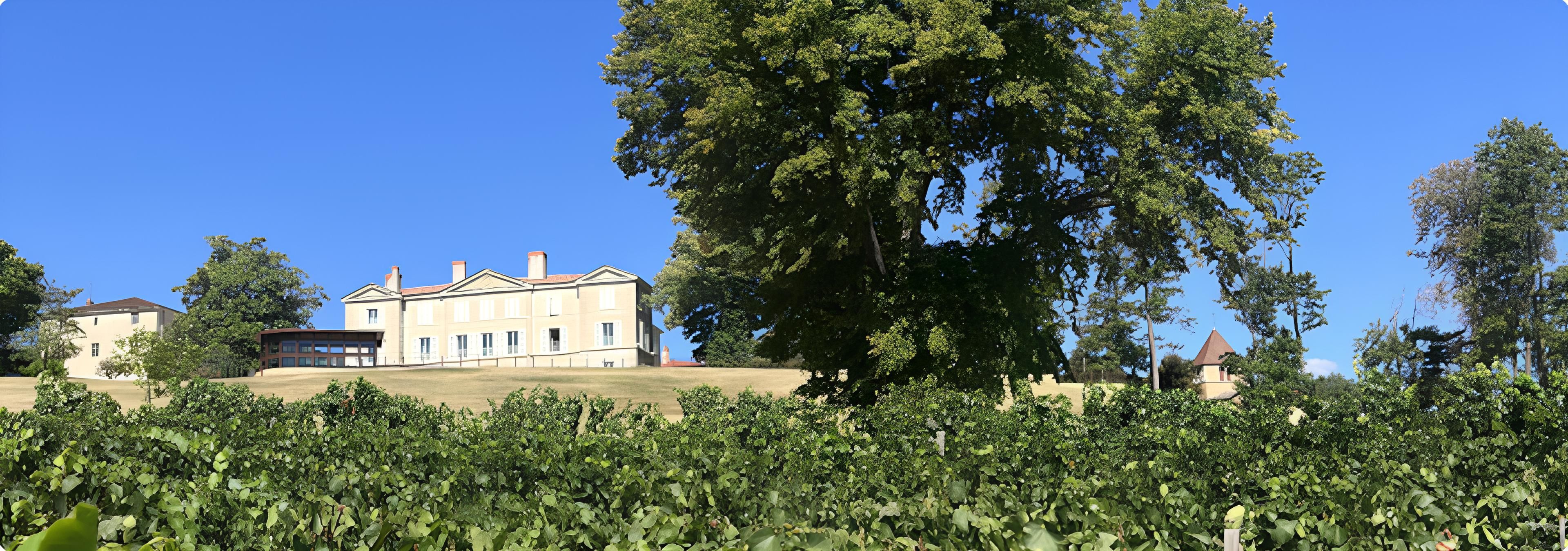 Château de Lachassagne - Rue des Vignerons