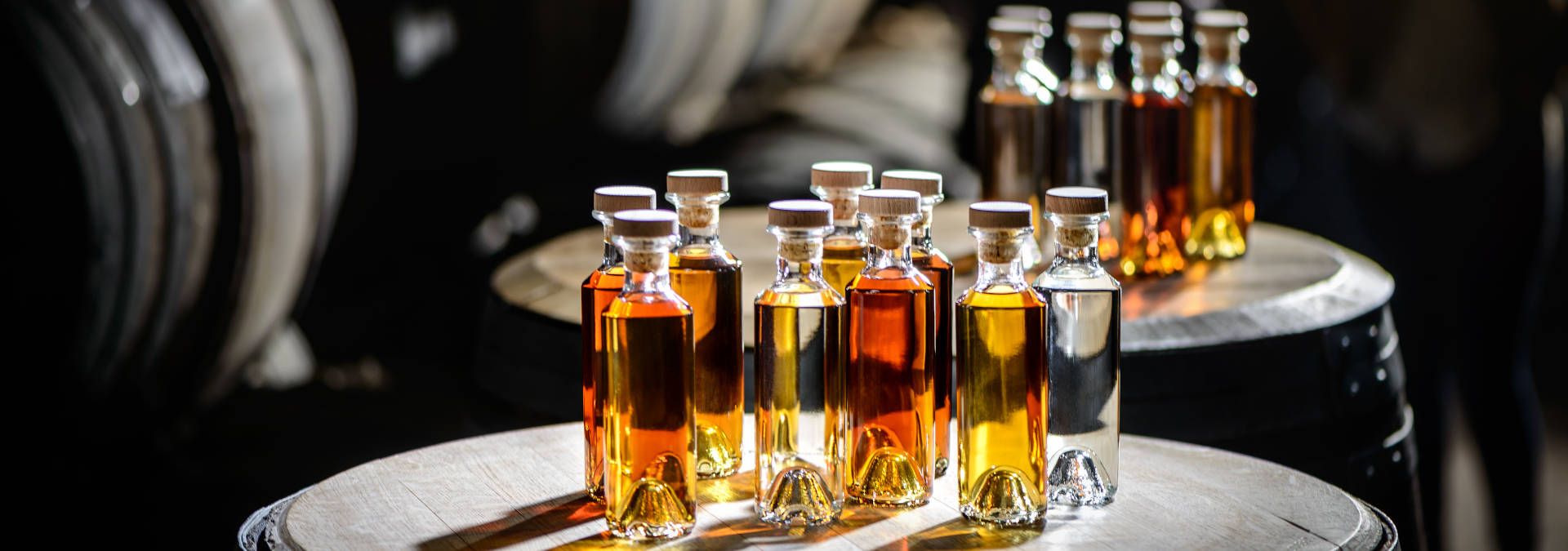 Rémy Martin Découverte du site d'élaboration