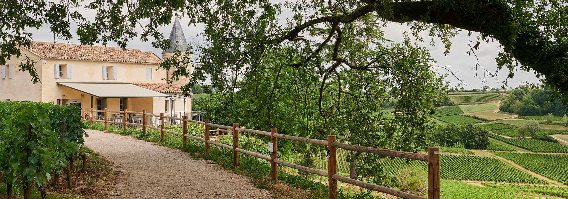 Château La Croizille - Rue des Vignerons