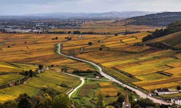 Dagtocht van Beaune naar de Côte de Beaune en Côte de Nuits, van Beaune-photo