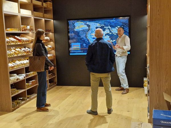 Workshop zur Entdeckung von Grand Blanc Sec & Liquoreux de Sauternes-photo