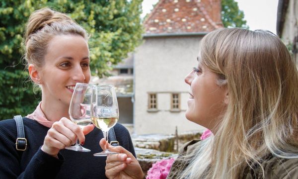 Dégustation de vins commentée-photo