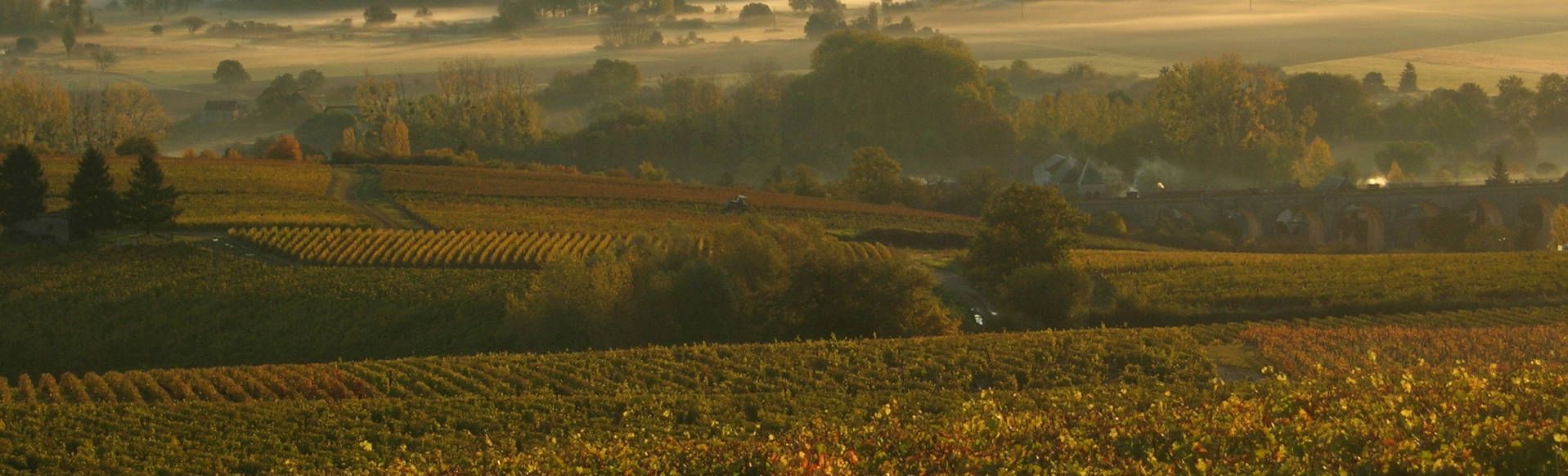 Domaine Patrick Noël - Rue des Vignerons