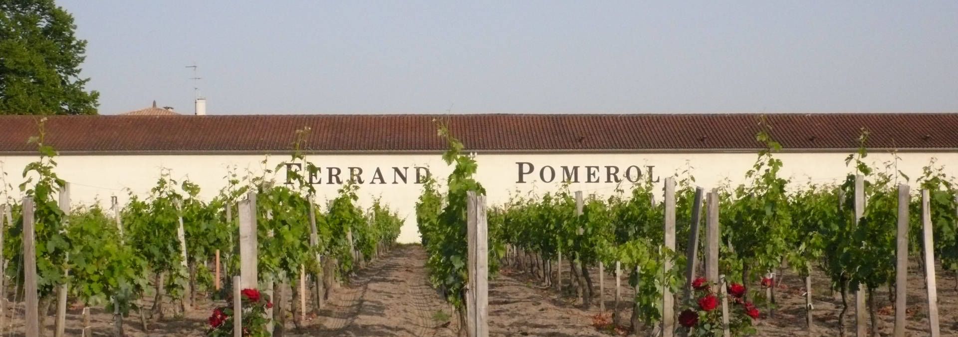Château Ferrand - Pomerol - Rue des Vignerons