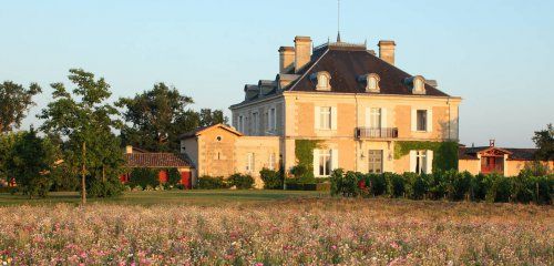 Château Haut-Bailly, Grand Cru Classé photo