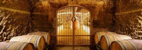 Guided tour, tasting and pairings-photo