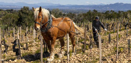 Clos du Calvaire photo