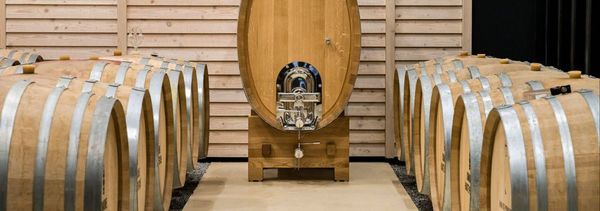 Guided tour of the winery-photo