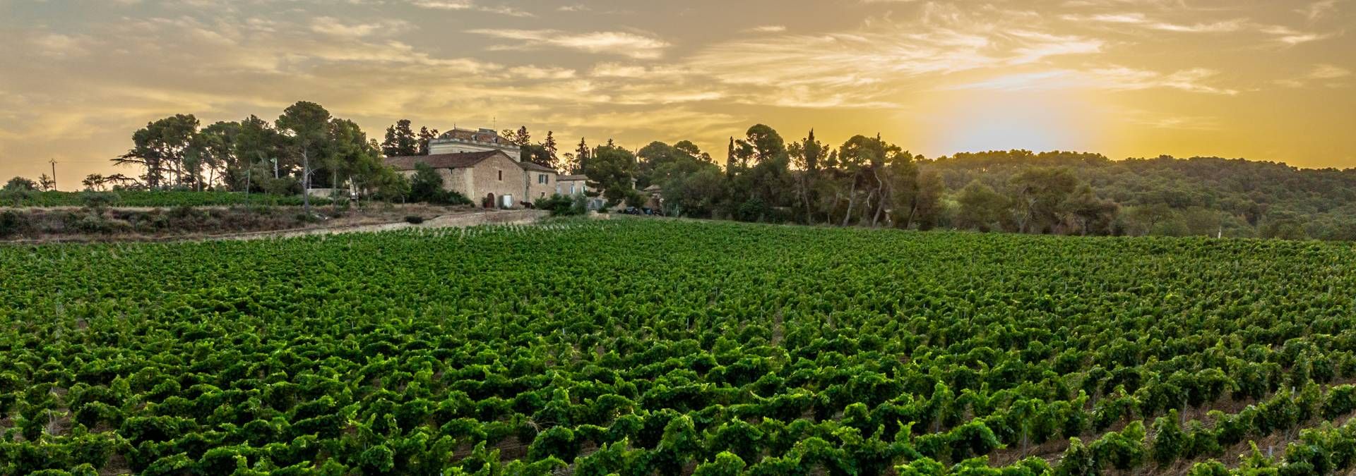 Domaine de Saliès - Rue des Vignerons