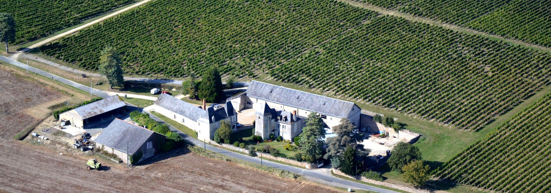 Domaine de Bois Mozé - Rue des Vignerons