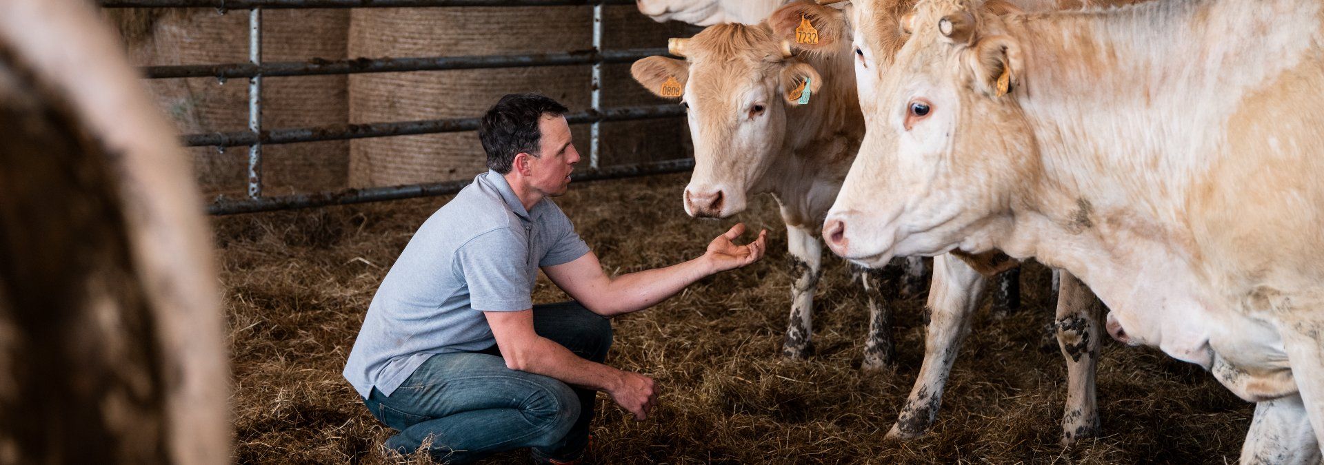 Château Saint-Hilaire - Domaine Uijttewaal - Rue des Vignerons