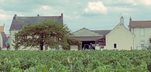 Domaine Ch. Gros & Fils photo