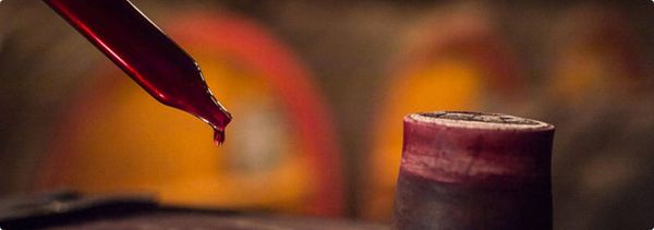 Initiation & découverte de la dégustation des vins-photo