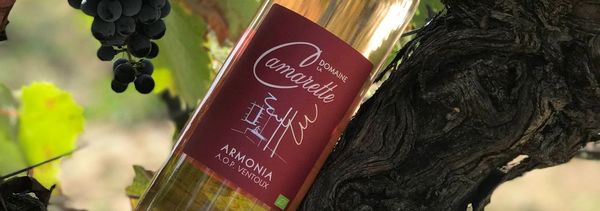 The Wine Hunt-photo