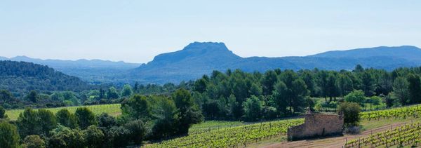 Journée Excursion en Côtes de Provence, depuis Cannes-photo