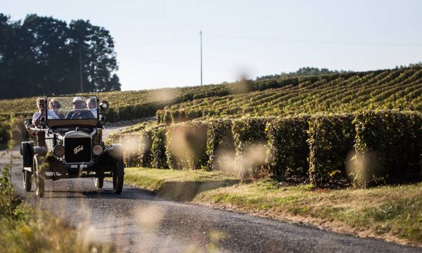 Harvest experience-photo