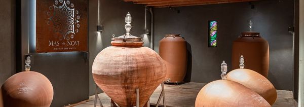 Bezoek en proeverij - Mas du Novi-photo