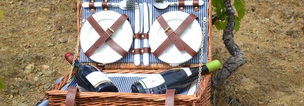 Visit & Picnic-photo