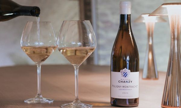 Dégustation de 5 vins et planche-photo