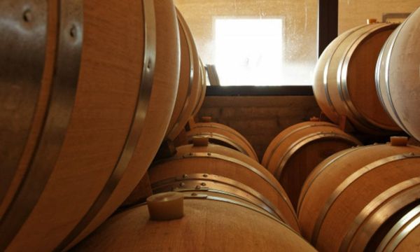 Entdeckung der Weinkeller von Poulvarel und Verkostung-photo