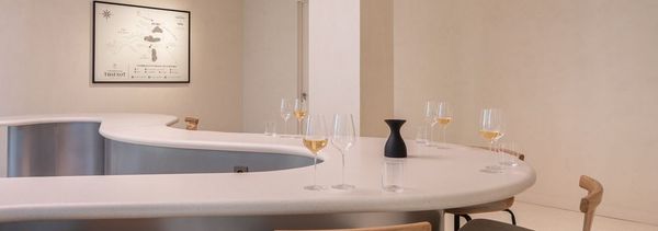 Visita la collezione 