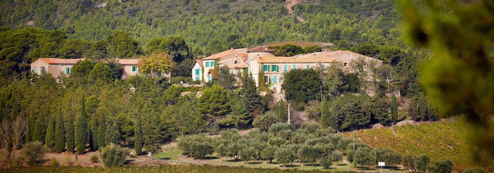 Chateau Pech Latt - Rue des Vignerons