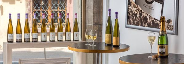 5-wine tasting with local produce-photo