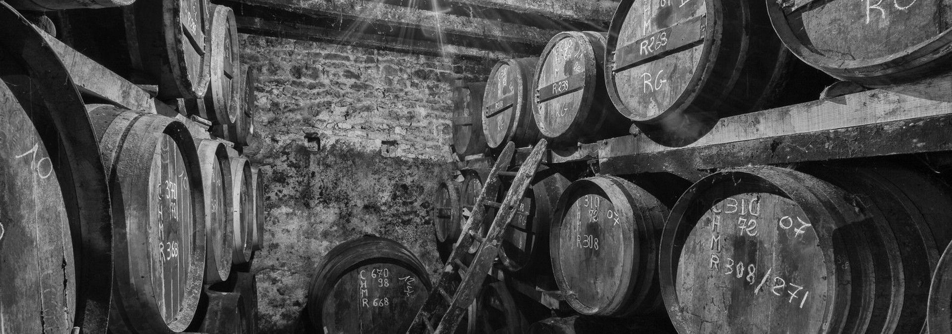 Bourgoin Cognac - Rue des Vignerons