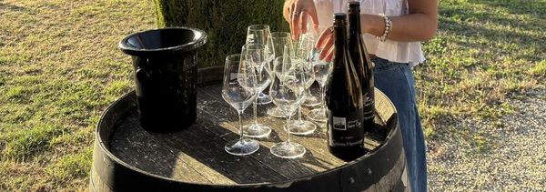 Proeverij van onze wijnen-photo