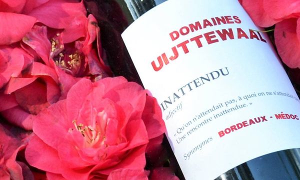 A la découverte de nos quatre cuvées-photo