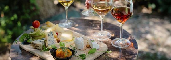 Taller de vino y queso-photo