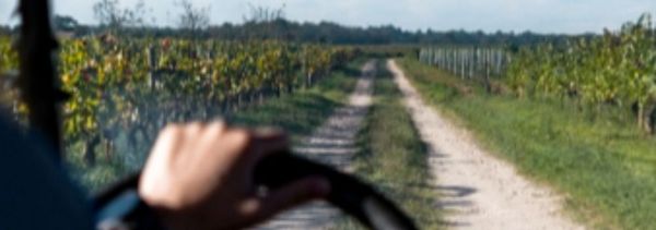 Visita privata di degustazione Les Secrets d'Angludet-photo