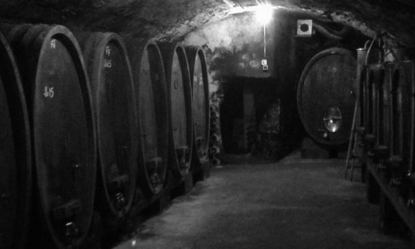 Visit of our cellar and tasting of our wines-photo