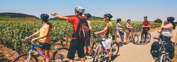 A day of cycling and wine in the Côte de Nuits, starting from Nuits-Saint-Georges-photo