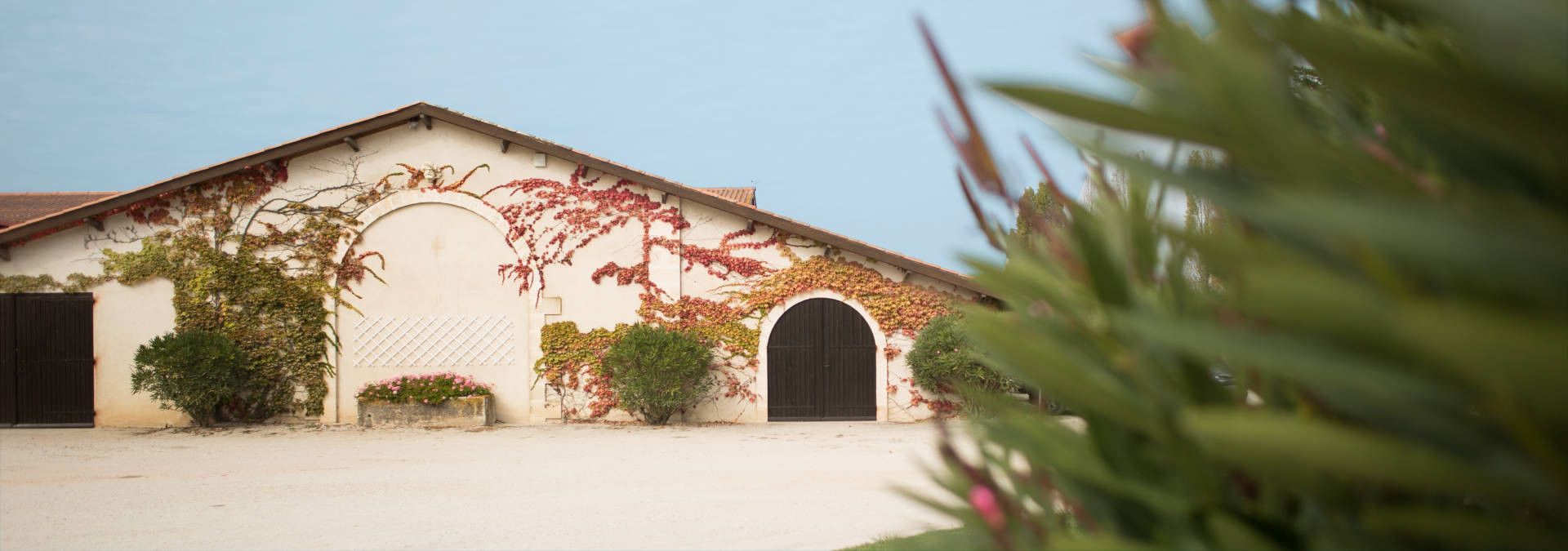Château Noaillac - Rue des Vignerons