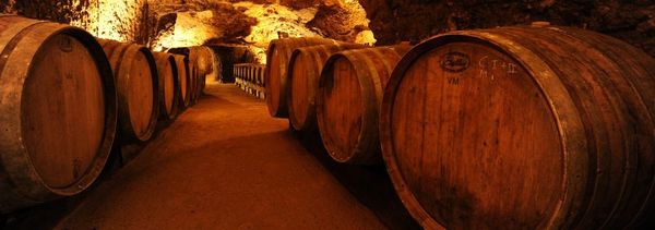 Tasting of our cuvées and tour of our cellars-photo